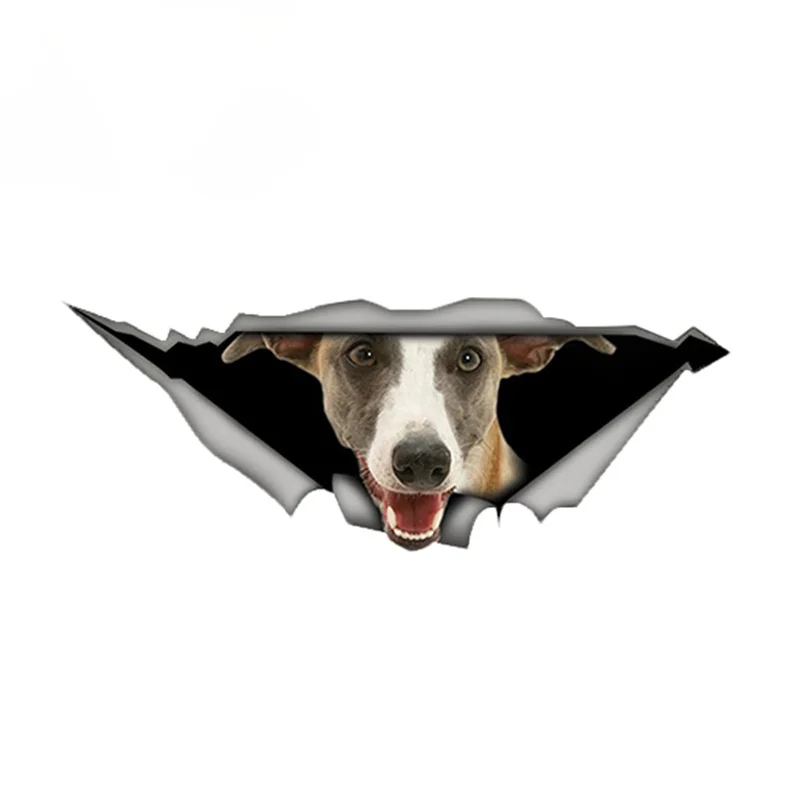 Забавная Автомобильная наклейка Whippet, рваная металлическая наклейка, Светоотражающая наклейка s, водонепроницаемая 3D наклейка для стайлинг...
Забавная Автомобильная наклейка Whippet, рваная металлическая наклейка, Светоотражающая наклейка s, водонепроницаемая 3D наклейка для стайлинг...