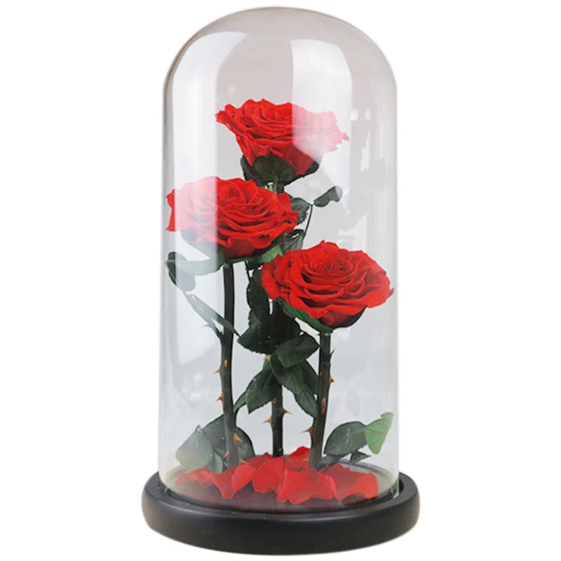 Fashion-Eternal Flowers Dried Flowers Preserved Fresh Flower Live Rose Glass e Gift Box Red
Fashion-Eternal Flowers Dried Flowers Preserved Fresh Flower Live Rose Glass e Gift Box Red