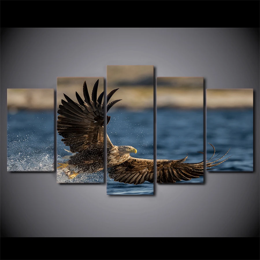 Modern Decor For Living Room HD Prints 5 Pieces Animal Eagle Are Flying At Sea Paintings Wall Art Pictures Canvas Modular Poster
Modern Decor For Living Room HD Prints 5 Pieces Animal Eagle Are Flying At Sea Paintings Wall Art Pictures Canvas Modular Poster