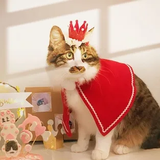 Pet Clothes Autumn Winter Flannel Warm Festival Coat Dog Clothes Cat Elk Costume Christmas Clothes Kitten Puppy New Year Outfit
Pet Clothes Autumn Winter Flannel Warm Festival Coat Dog Clothes Cat Elk Costume Christmas Clothes Kitten Puppy New Year Outfit