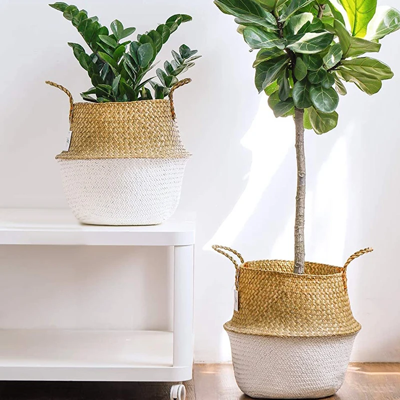 2Pack Seagrass Plant Basket,Woven Belly Basket with Handles,Storage Laundry,Picnic,Plant Pot Cover,Home Decor
2Pack Seagrass Plant Basket,Woven Belly Basket with Handles,Storage Laundry,Picnic,Plant Pot Cover,Home Decor
