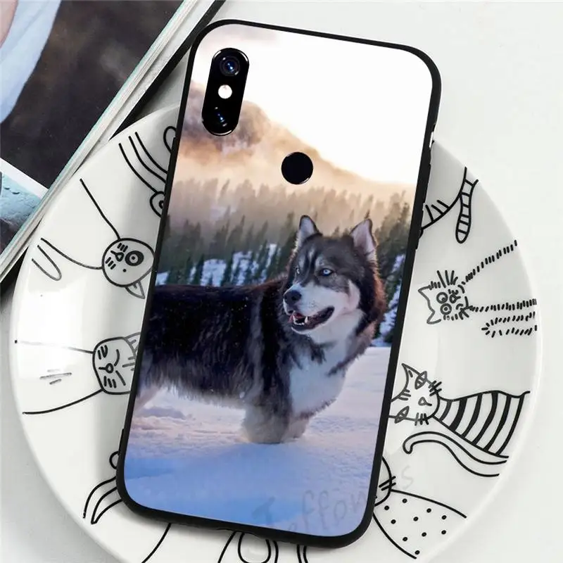 Phone Case For Xiaomi Redmi Note 4 4x 5 6 7 8 pro S2 PLUS 6A PRO Alaskan Malamute Siberian husky dog
Phone Case For Xiaomi Redmi Note 4 4x 5 6 7 8 pro S2 PLUS 6A PRO Alaskan Malamute Siberian husky dog