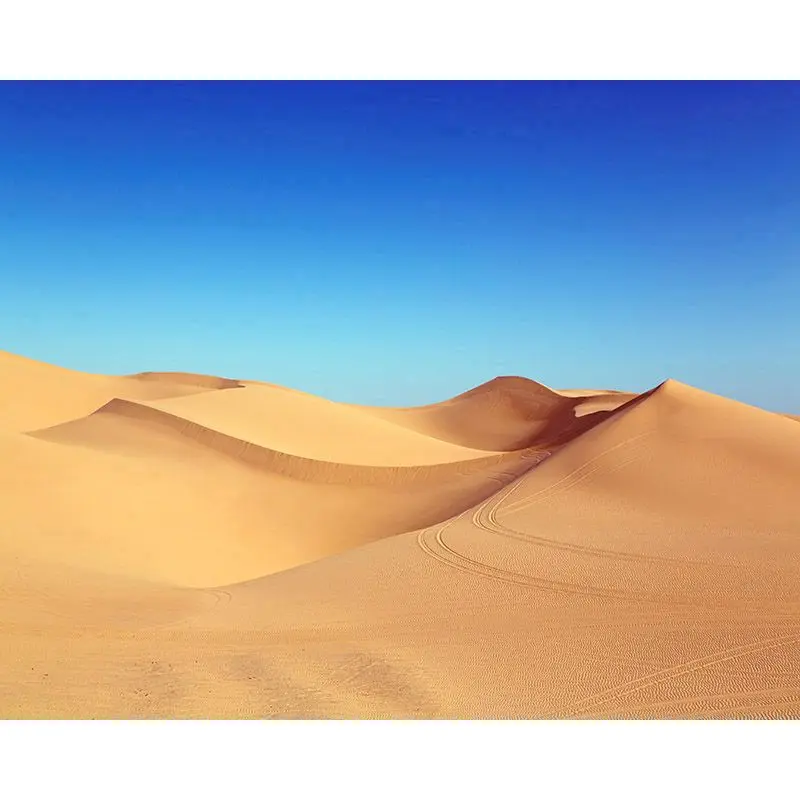 SELILALI Blue Sky And Desert Landscape Oil Painting By Numbers Kits Framed Draw On Canvas Home Bedroom Decor Artwork Diy Gift
SELILALI Blue Sky And Desert Landscape Oil Painting By Numbers Kits Framed Draw On Canvas Home Bedroom Decor Artwork Diy Gift