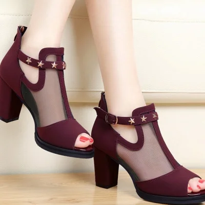 Women Pumps High Thick Black Heels Ladies Shoes Rivet Mesh Zipper Open Toe Casual Party Wedding Platform Chunky Sandal
Women Pumps High Thick Black Heels Ladies Shoes Rivet Mesh Zipper Open Toe Casual Party Wedding Platform Chunky Sandal
