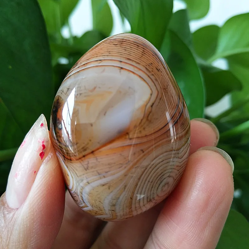 Natural stone Crystal Wrapped silk agate Palm Lace Agate gemstone Wizard chakra Spiritual Energy Meditation Reiki healing crysta
Natural stone Crystal Wrapped silk agate Palm Lace Agate gemstone Wizard chakra Spiritual Energy Meditation Reiki healing crysta