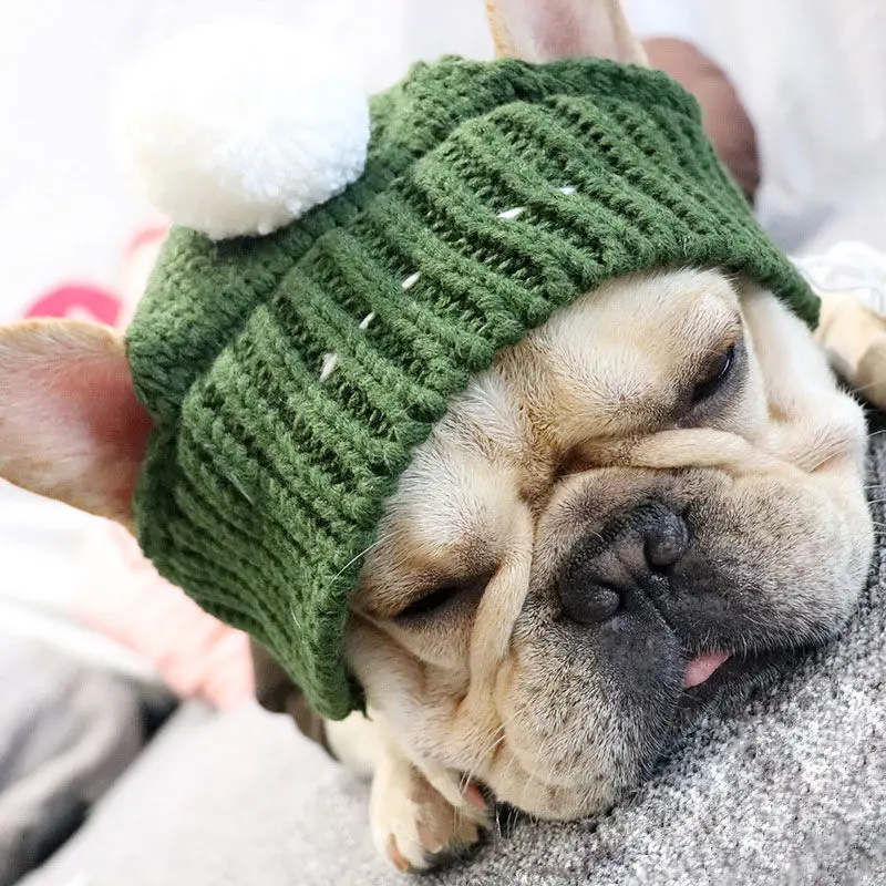 Winter Dog Cap Christmas Pet Wool Hats Warm Windproof Puppy Hat With Ball Headwear for Small Dogs French Bulldog Cap Accessories
Winter Dog Cap Christmas Pet Wool Hats Warm Windproof Puppy Hat With Ball Headwear for Small Dogs French Bulldog Cap Accessories
