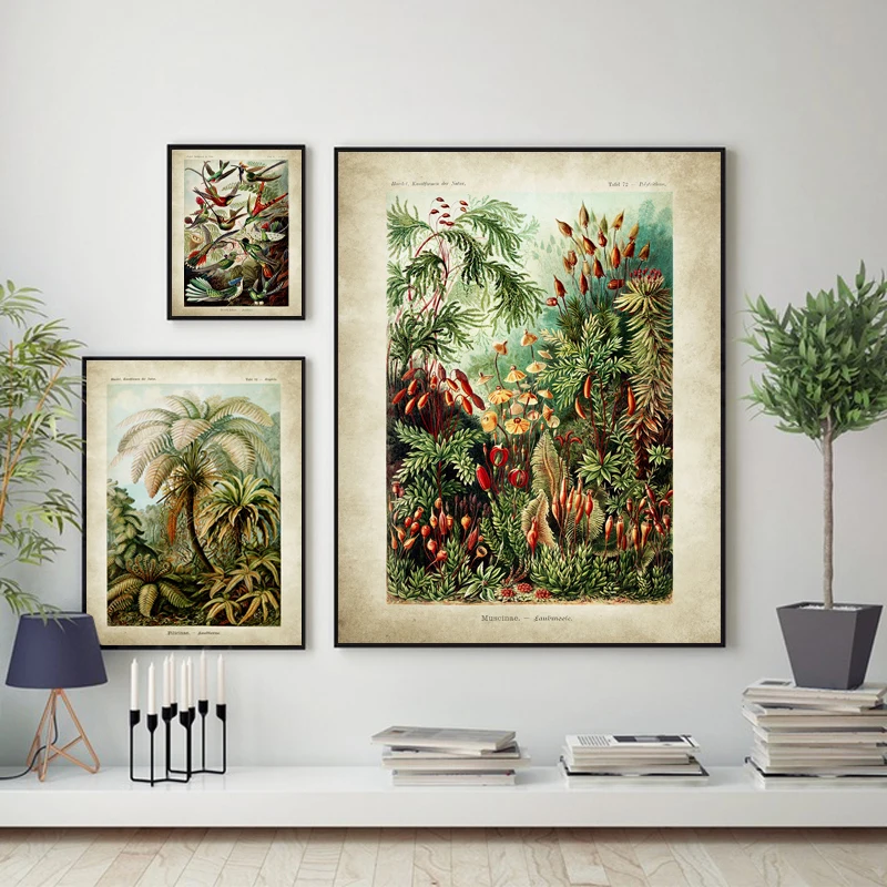 Vintage Ernst Haeckel Biology Poster Hummingbird Palm Tree Botanical Art Prints Plant Painting Retro poster kraft paper
Vintage Ernst Haeckel Biology Poster Hummingbird Palm Tree Botanical Art Prints Plant Painting Retro poster kraft paper