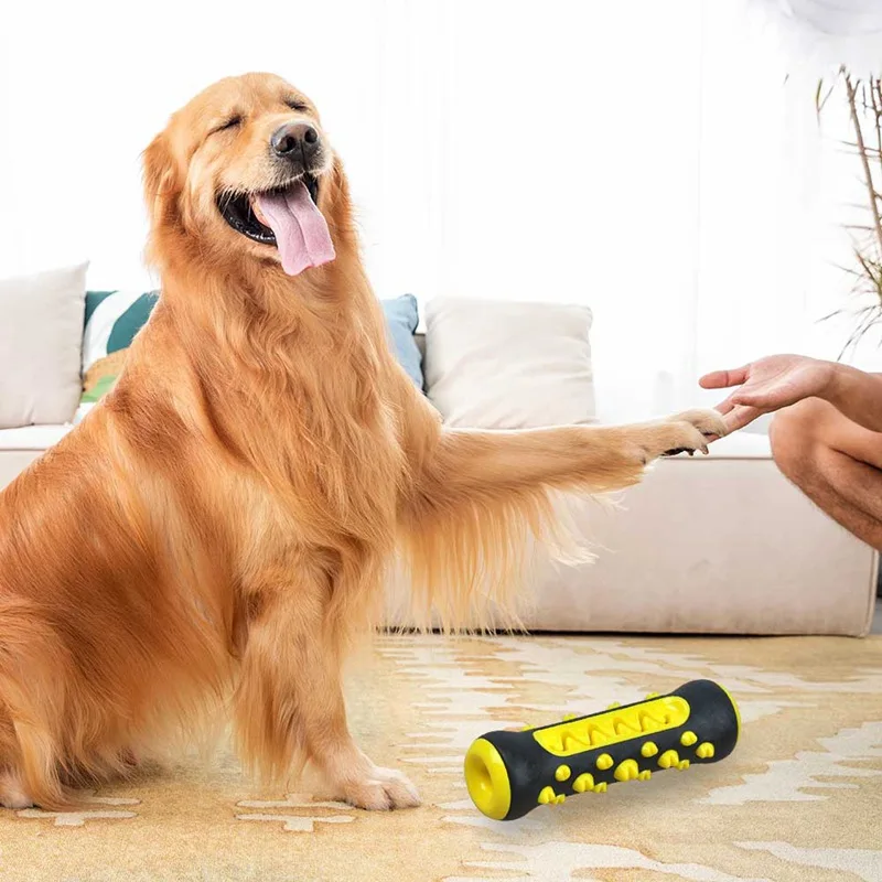 Dog Toothbrush Chew Toys Dog Bite-Resistant Rubber Molar Stick Puppy Dental Care Brushing Stick Dog Chew Bones Teeth Cleaning
Dog Toothbrush Chew Toys Dog Bite-Resistant Rubber Molar Stick Puppy Dental Care Brushing Stick Dog Chew Bones Teeth Cleaning