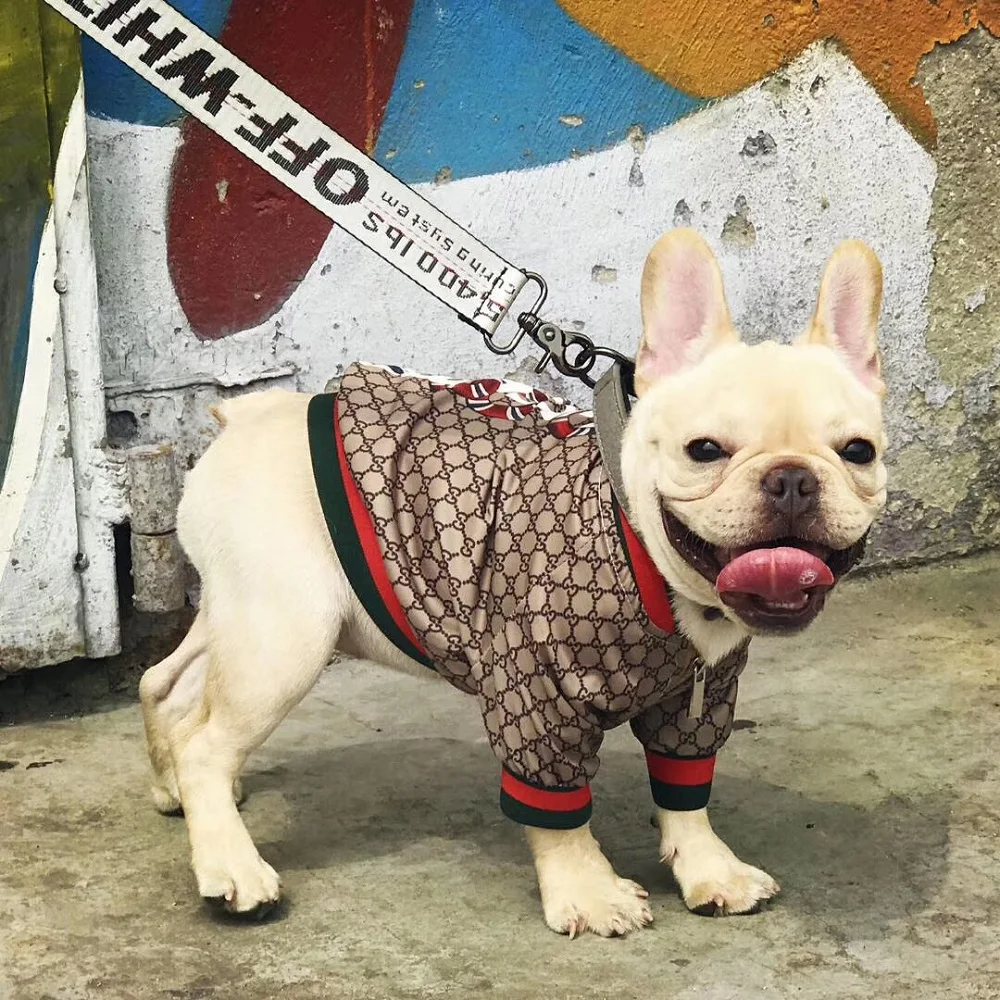 2021 Luxury Pet Clothes Dog Clothes Pet Clothes French Bullfighting Schnauzer Teddy Coat Trendy Brand Dog Coat Snake Coat
2021 Luxury Pet Clothes Dog Clothes Pet Clothes French Bullfighting Schnauzer Teddy Coat Trendy Brand Dog Coat Snake Coat