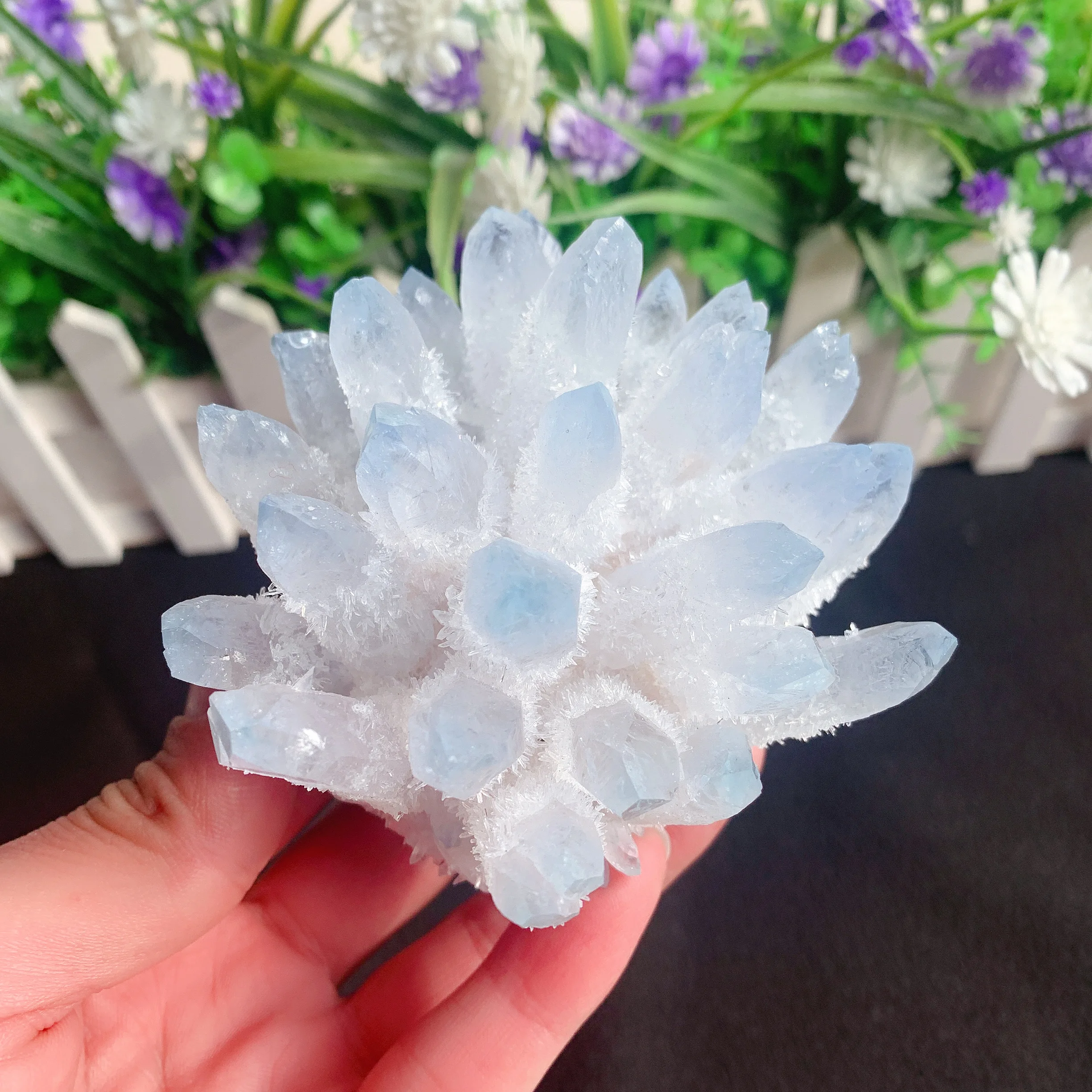 200-450g Natural Crystals Quartz Mineral Stones Blue Cluster Freeform Energy Reiki Healing Home Decoration Accessories Gemstone
200-450g Natural Crystals Quartz Mineral Stones Blue Cluster Freeform Energy Reiki Healing Home Decoration Accessories Gemstone