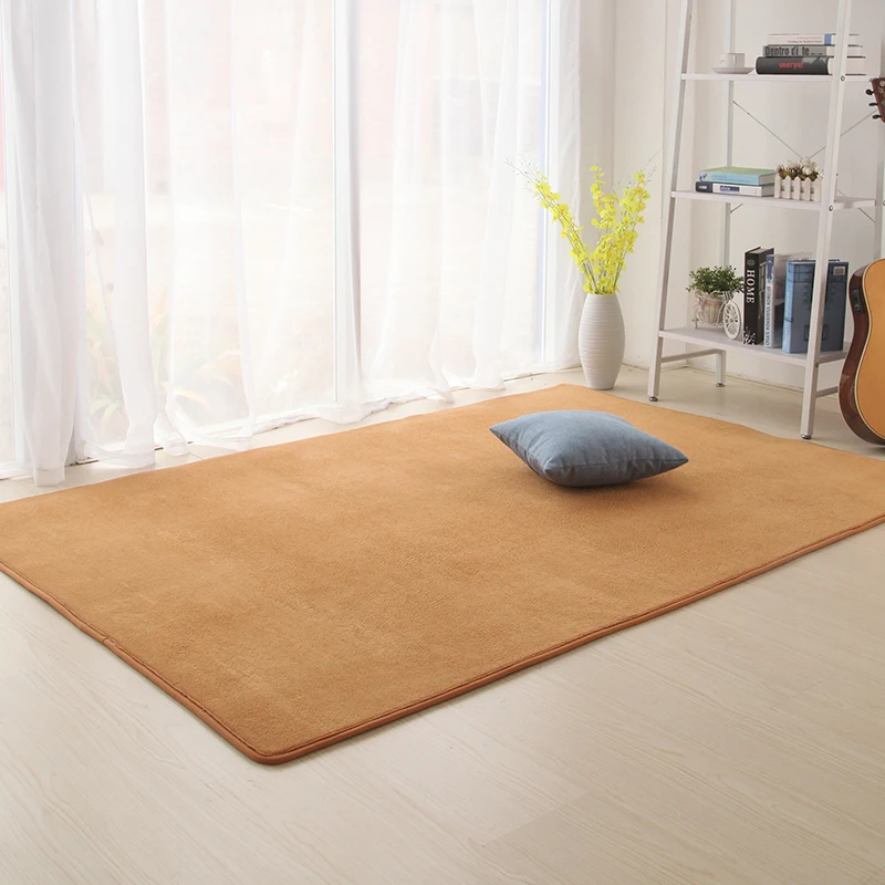 Coral Velvet Carpet Living Room Tea Table Cushion Household Bedroom Bedside Lovely Rectangular Tatami Simple Modern Bath Mat Pad
Coral Velvet Carpet Living Room Tea Table Cushion Household Bedroom Bedside Lovely Rectangular Tatami Simple Modern Bath Mat Pad