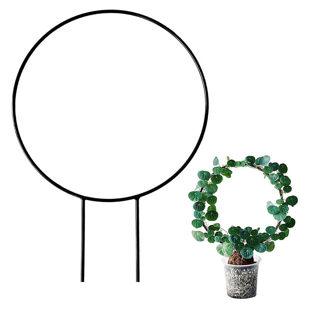 Garden Trellis Climbing Plant Support Stake Circle Round Shape Stand Frame Vine Rack For Mini Indoor Plants Flowers Vegetables
Garden Trellis Climbing Plant Support Stake Circle Round Shape Stand Frame Vine Rack For Mini Indoor Plants Flowers Vegetables