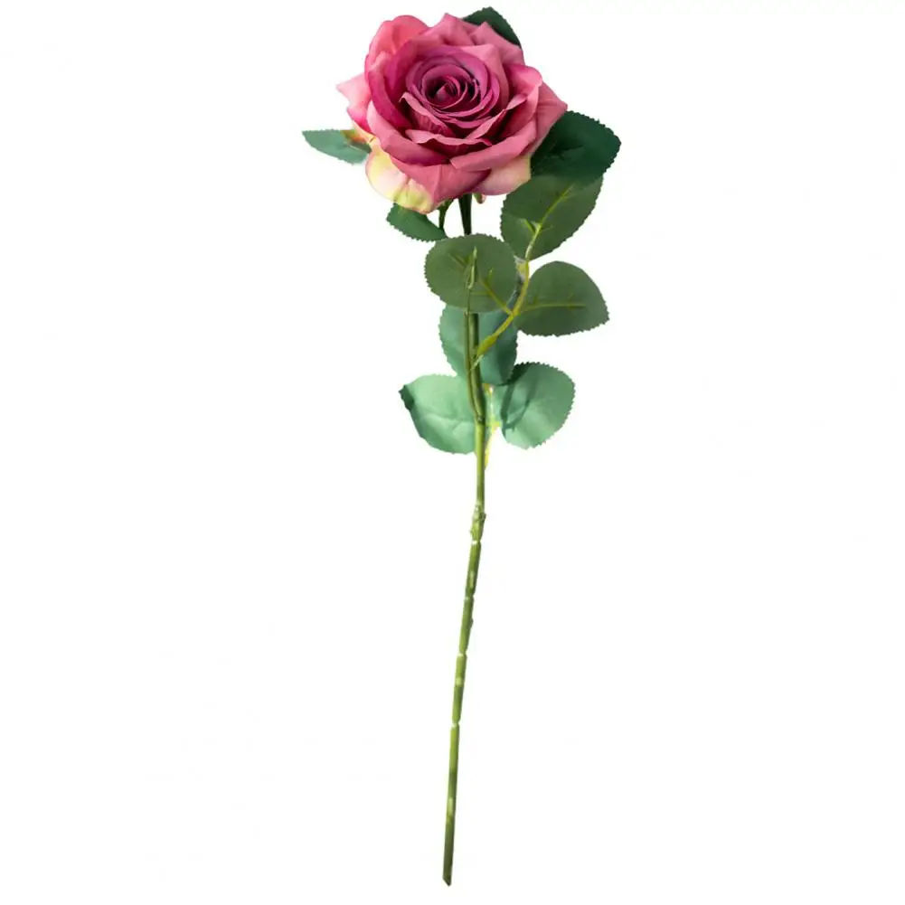 70% Dropshipping!Artificial flowers, colorful artificial silk flowers, decorative household fake roses for a wide range of uses
70% Dropshipping!Artificial flowers, colorful artificial silk flowers, decorative household fake roses for a wide range of uses