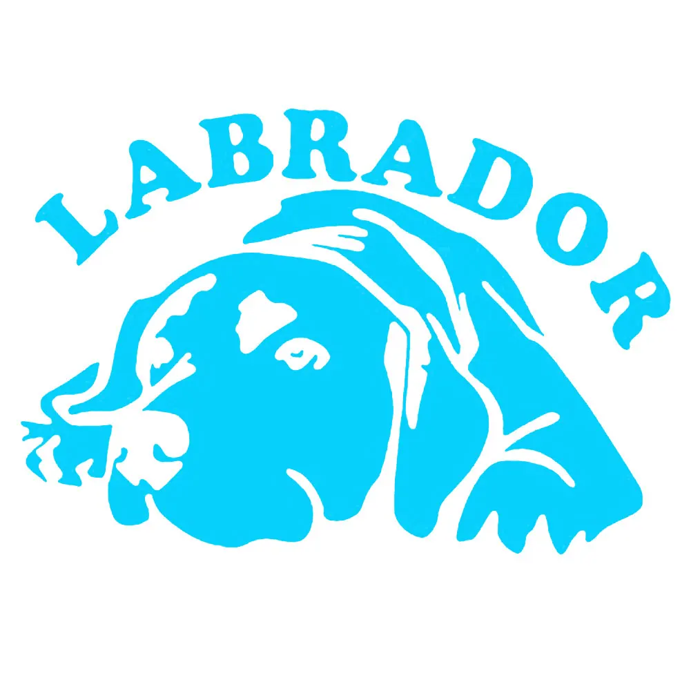 Cute Labrador Dog Car Vehicle Body Window Reflective Decals Sticker Decoration Automobiles Decal Car styling 
Cute Labrador Dog Car Vehicle Body Window Reflective Decals Sticker Decoration Automobiles Decal Car styling