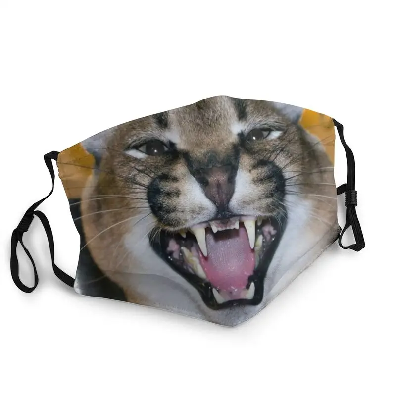 Big Floppa Caracal Cat Funny Meme Non-Disposable Unisex Adult Mouth Face Mask Anti Dust Protection Cover Respirator Muffle
Big Floppa Caracal Cat Funny Meme Non-Disposable Unisex Adult Mouth Face Mask Anti Dust Protection Cover Respirator Muffle