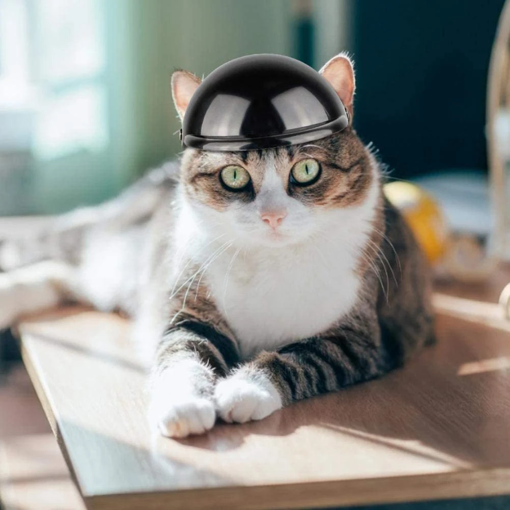 Dog Hat Pet Dog Helmet Pet Motorcycle Helmet Small Cat Safety Cap for Cycling Bicycle Pet Supplies
Dog Hat Pet Dog Helmet Pet Motorcycle Helmet Small Cat Safety Cap for Cycling Bicycle Pet Supplies