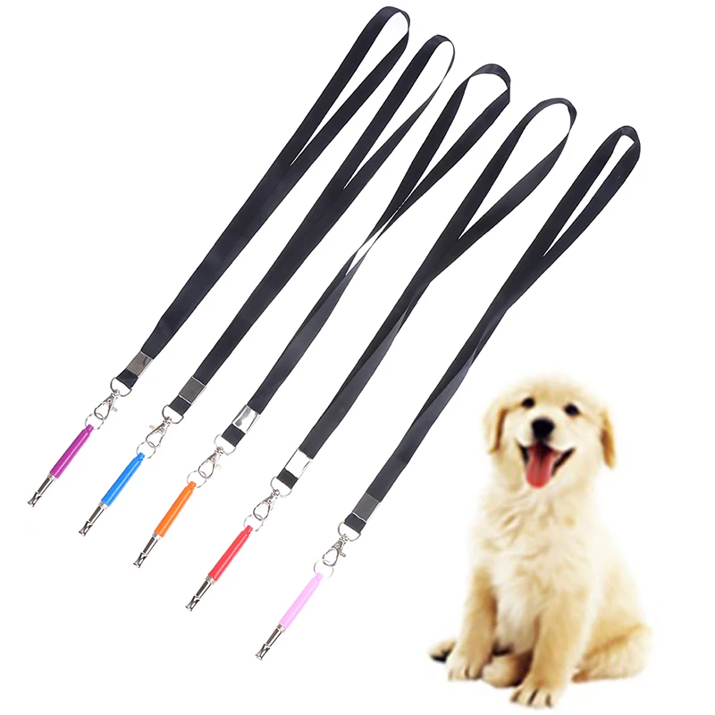 Ультразвуковой суперзвуковой прибор для домашних животных, тихий тренировочный свисток, кошка, аксессуары для собак
Ультразвуковой суперзвуковой прибор для домашних животных, тихий тренировочный свисток, кошка, аксессуары для собак