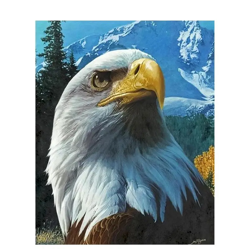 3D Diamond Painting Eagle Diy Craft Kits For Adults Animal Picture Home Decor Wall Art 5D Diamond Embroidery Painting Rhinestone
3D Diamond Painting Eagle Diy Craft Kits For Adults Animal Picture Home Decor Wall Art 5D Diamond Embroidery Painting Rhinestone