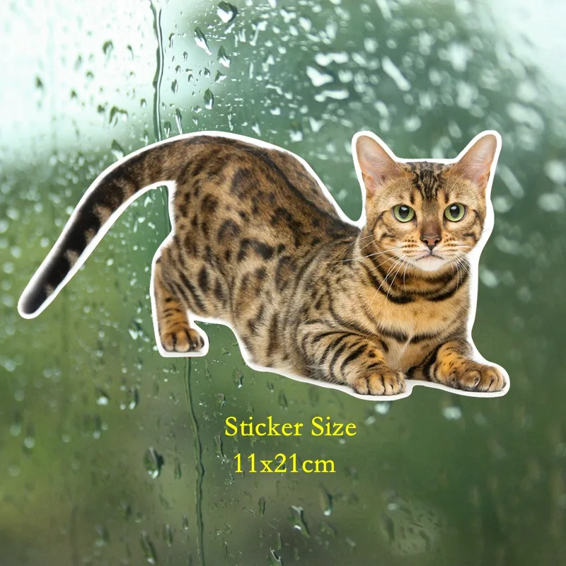 Car Stickers Lovely Bengal Cat Siberian Cat Funny Auto Automobile Decals Waterproof Sun Protection Cover Scratches PVC,11*21cm
Car Stickers Lovely Bengal Cat Siberian Cat Funny Auto Automobile Decals Waterproof Sun Protection Cover Scratches PVC,11*21cm