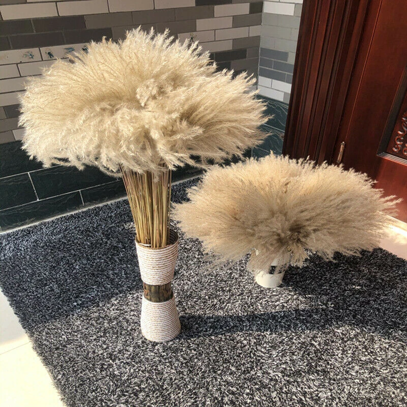 15/50pc Natural Dried Reed Big Pampas Grass Phragmites Bouquet DIY Artificial Plants Home Wedding Flower Bunch Decoration
15/50pc Natural Dried Reed Big Pampas Grass Phragmites Bouquet DIY Artificial Plants Home Wedding Flower Bunch Decoration