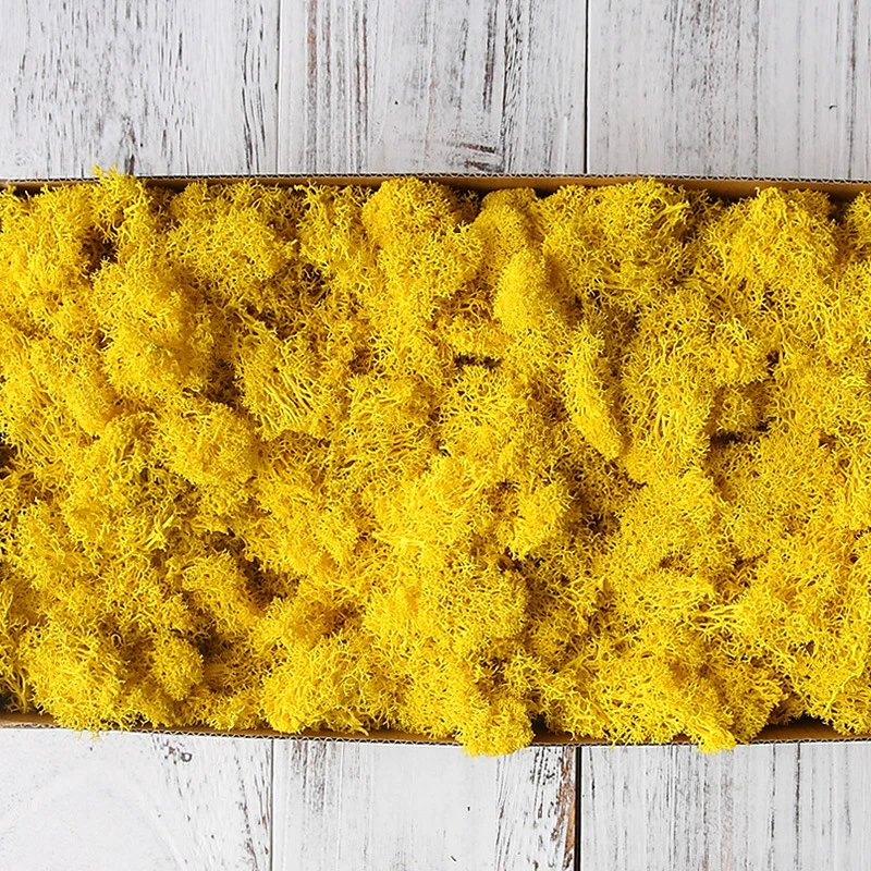 200g High Quality Green Plant Preserved Flower Moss Grass Home Wedding Living Room Decorative Wall DIY Flower Mini Accessories
200g High Quality Green Plant Preserved Flower Moss Grass Home Wedding Living Room Decorative Wall DIY Flower Mini Accessories