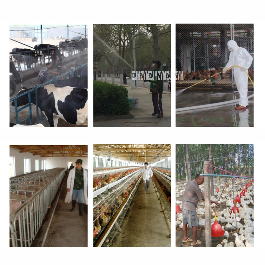 Trolley Farm Sterilizer Sterilizing Machine Nebulizer Disinfecting Machine High Pressure Sprayer Disinfector Cleaning Machine
Trolley Farm Sterilizer Sterilizing Machine Nebulizer Disinfecting Machine High Pressure Sprayer Disinfector Cleaning Machine