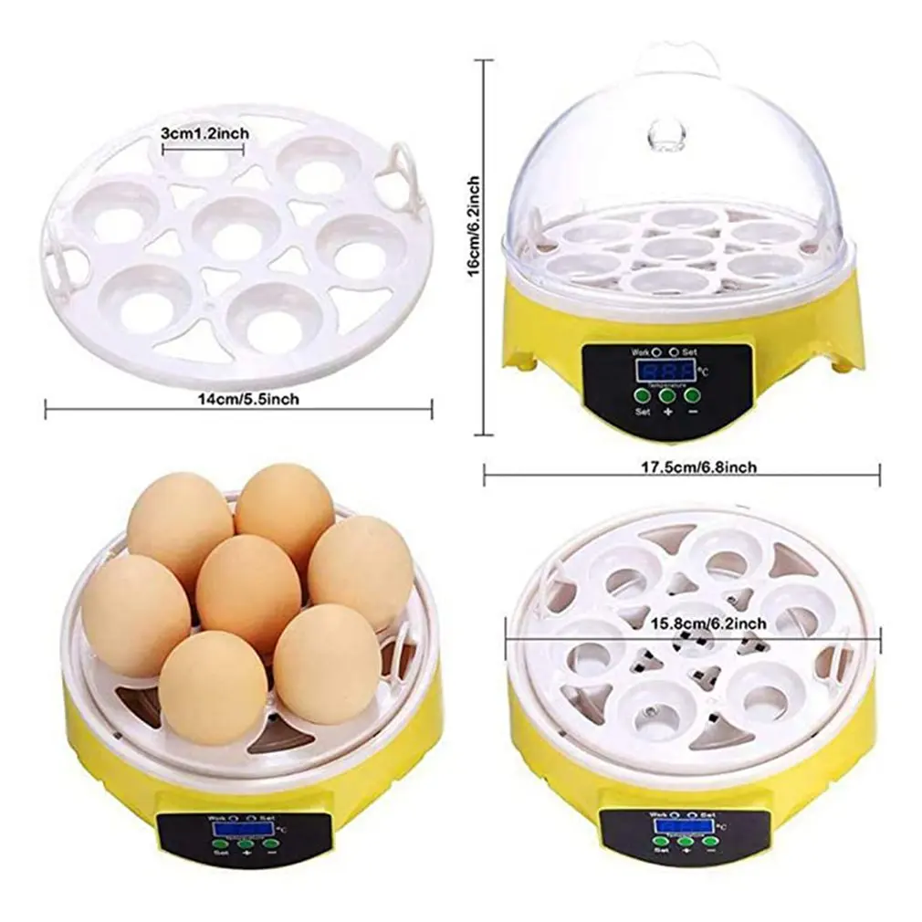 7 Eggs Incubator Bird Egg Incubator Semi-automatic Miniature Egg Incubator Pigeon Household Incubators
7 Eggs Incubator Bird Egg Incubator Semi-automatic Miniature Egg Incubator Pigeon Household Incubators