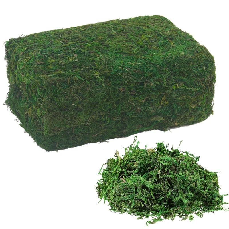 850g Artificial Fake Dried Green Moss Brick Preserved Faux Lichen Block for Flower Plants Garden Lawn Crafts DIY Decor
850g Artificial Fake Dried Green Moss Brick Preserved Faux Lichen Block for Flower Plants Garden Lawn Crafts DIY Decor