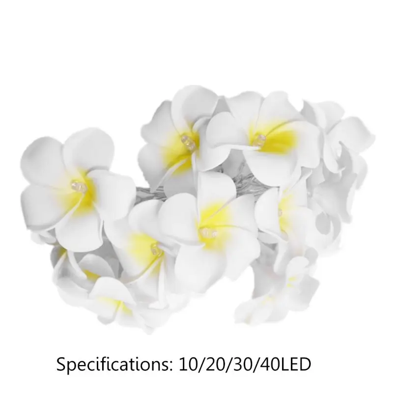 10/20/30/40 LED Plumeria Decorative String Lights Egg Flower Lamp Christmas Wedding Holiday Party
10/20/30/40 LED Plumeria Decorative String Lights Egg Flower Lamp Christmas Wedding Holiday Party