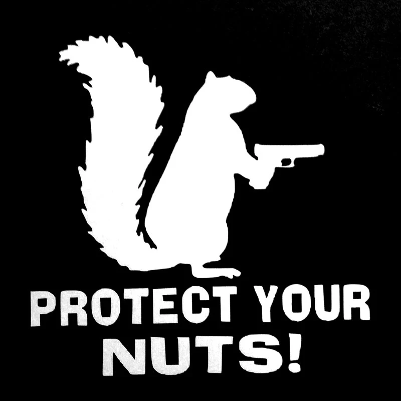 12.9CM*12.7CM Protect Your Nuts Squirrel Police Army Navy Marines Car Stickers And Decals Creative Sticker
12.9CM*12.7CM Protect Your Nuts Squirrel Police Army Navy Marines Car Stickers And Decals Creative Sticker