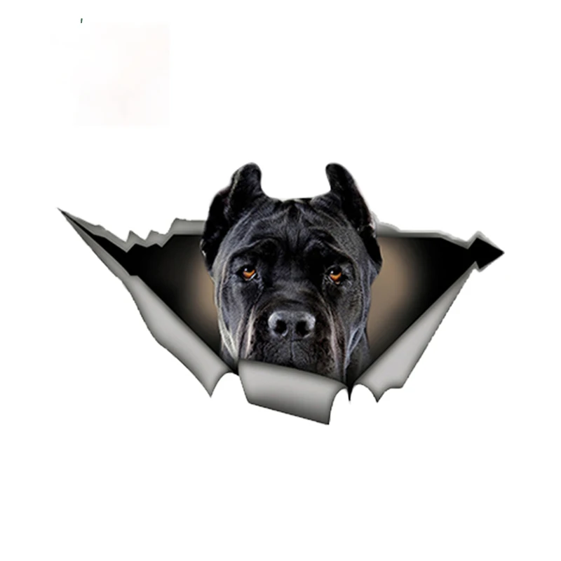 Fuzhen Boutique Decals Exterior Accessories Car Sticker Torn Metal Decal Stickers Waterproof Car Styling Pet Dog Decals
Fuzhen Boutique Decals Exterior Accessories Car Sticker Torn Metal Decal Stickers Waterproof Car Styling Pet Dog Decals