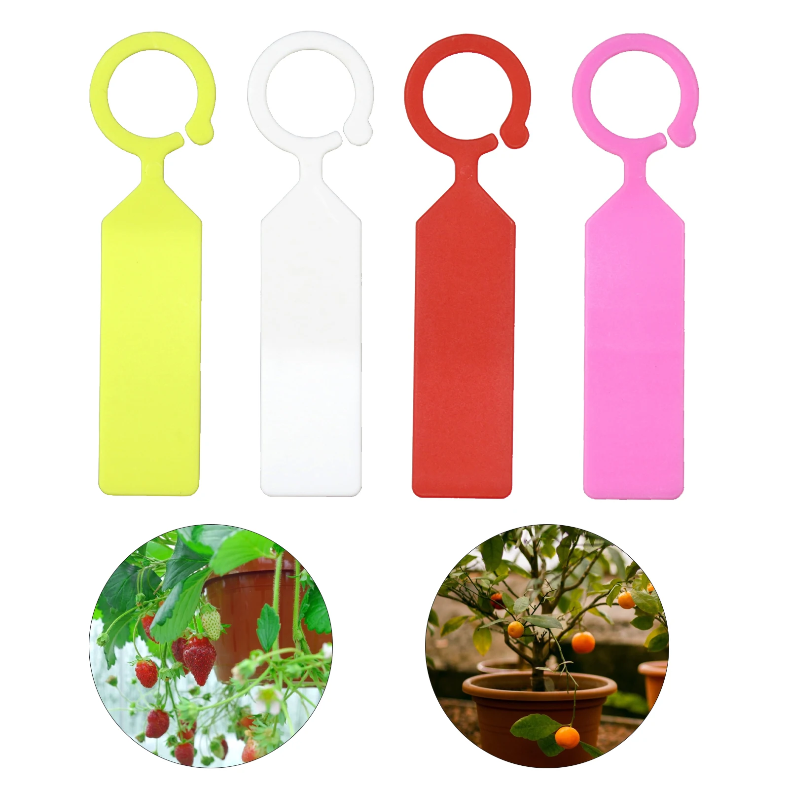50PCS Plastic Plants Tags Nursery Garden Ring Label Pot Marker Stake Hanging Tags Greenhouse Bonsai Collar Tags Garden Mark Tool
50PCS Plastic Plants Tags Nursery Garden Ring Label Pot Marker Stake Hanging Tags Greenhouse Bonsai Collar Tags Garden Mark Tool