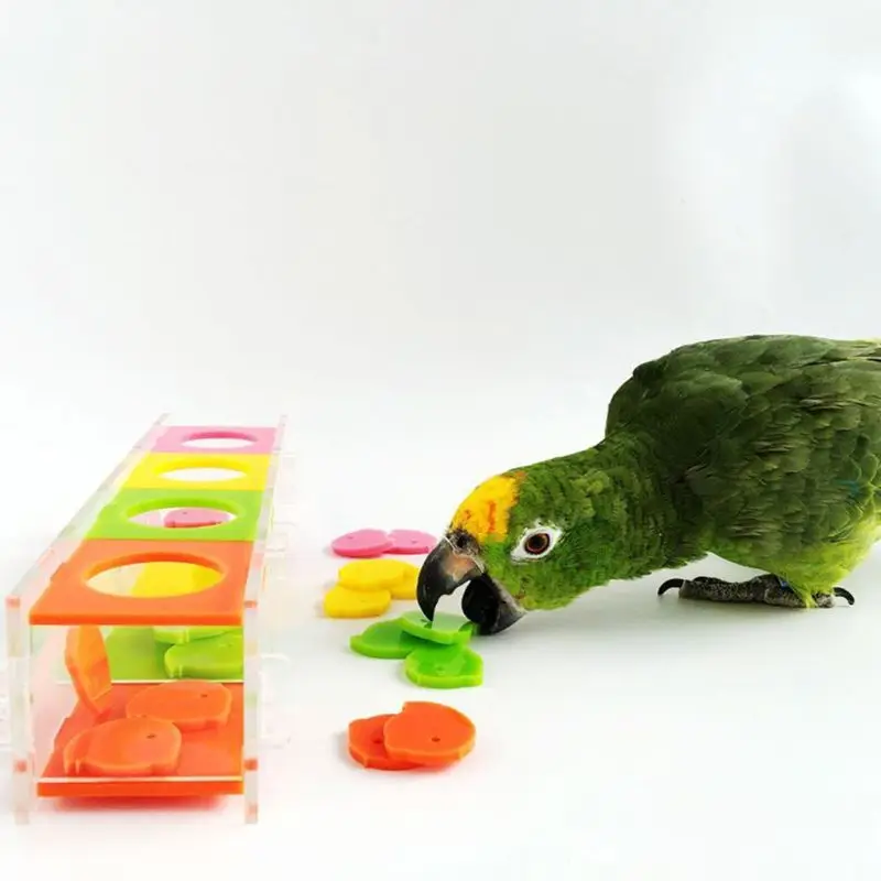 Colorful Bird Parrot Intelligence Toy Coin Box Macaw Cockatiel Training Chew Toy X4YD
Colorful Bird Parrot Intelligence Toy Coin Box Macaw Cockatiel Training Chew Toy X4YD