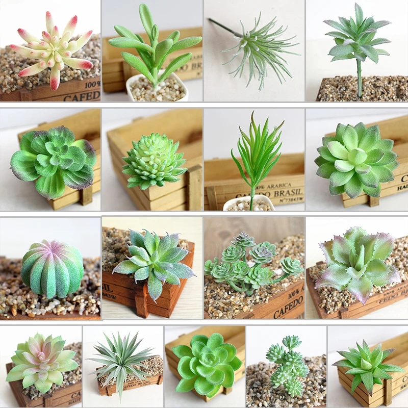 Artificial Succulent Green Flocking Fake Plants Cactu Mini Bonsai Potted Home Simulation Succulents Home Office Decor Gift
Artificial Succulent Green Flocking Fake Plants Cactu Mini Bonsai Potted Home Simulation Succulents Home Office Decor Gift