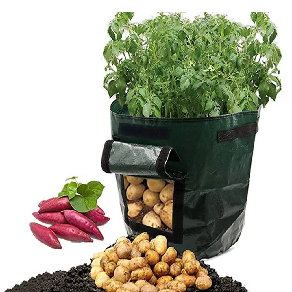 PE Planting Bag Outdoor Vertical Garden Potatoes Strawberry Breathable Plant Bag Gardening Accessory Grow Pot Vegetable Growing
PE Planting Bag Outdoor Vertical Garden Potatoes Strawberry Breathable Plant Bag Gardening Accessory Grow Pot Vegetable Growing