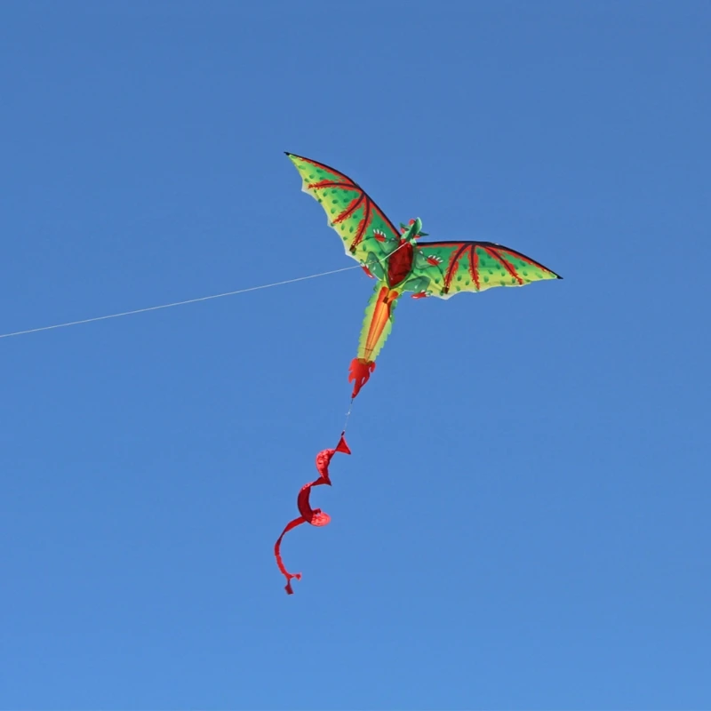 3D Large Soft Dinosaur Shape Beach Kites with Line Reel Frameless Entertainment Sports Kids Gifts Family Outdoor Holiday
3D Large Soft Dinosaur Shape Beach Kites with Line Reel Frameless Entertainment Sports Kids Gifts Family Outdoor Holiday
