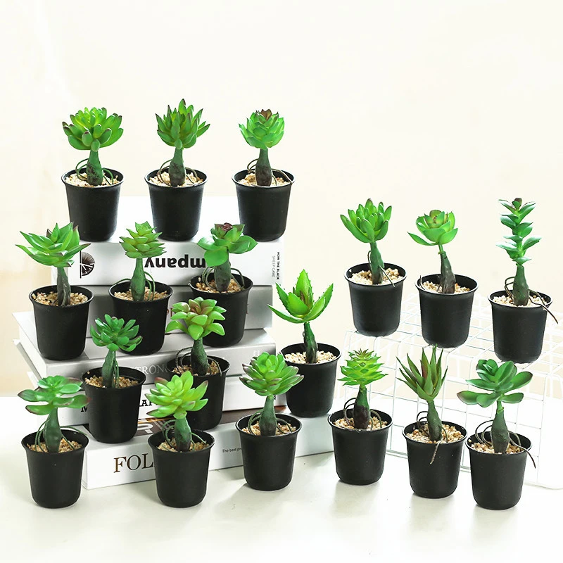 Mini Artificial Succulent Plants Fake Tree Potted Tropical Agave Plastic Leaf False Desktop Ornaments For Home Office Shop Decor
Mini Artificial Succulent Plants Fake Tree Potted Tropical Agave Plastic Leaf False Desktop Ornaments For Home Office Shop Decor