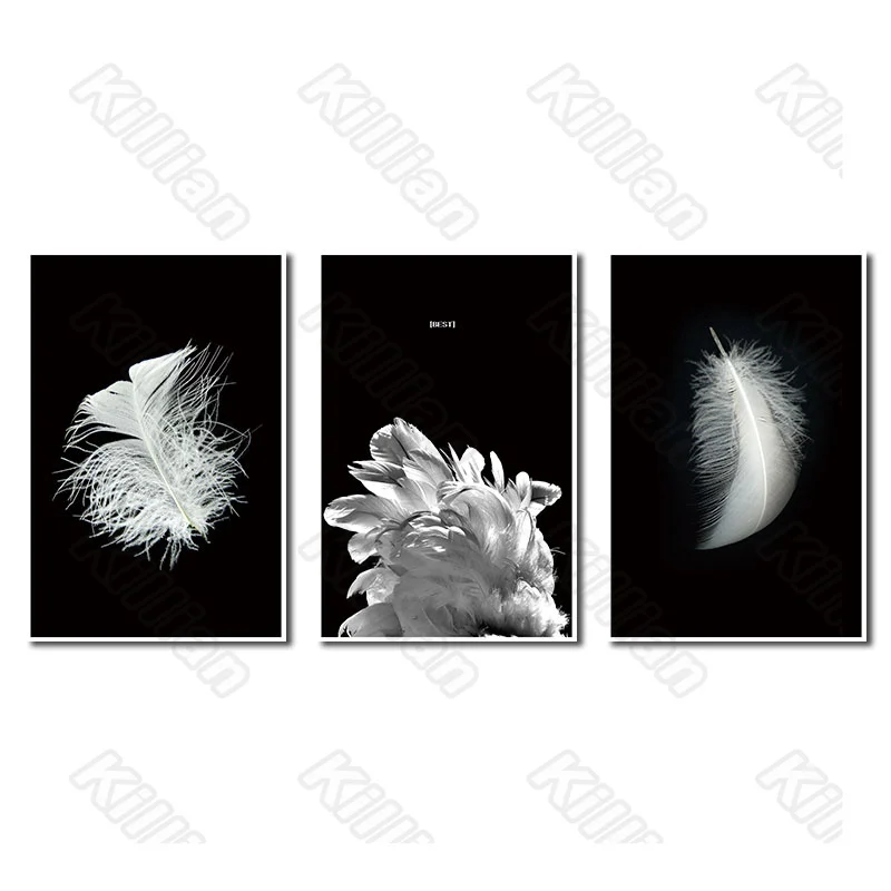 Modern Style feathers Frameles Poster Residential Bedroom Decoration Living Room Beautiful Canvas Painting Hd Print Fresco
Modern Style feathers Frameles Poster Residential Bedroom Decoration Living Room Beautiful Canvas Painting Hd Print Fresco