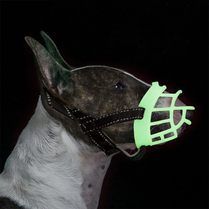 Fluorescence Dog Muzzle Mask Anti-biting Silicone pet Mouth Muzzles Reflective Adjustable mouth cover for Small Large big Dogs
Fluorescence Dog Muzzle Mask Anti-biting Silicone pet Mouth Muzzles Reflective Adjustable mouth cover for Small Large big Dogs