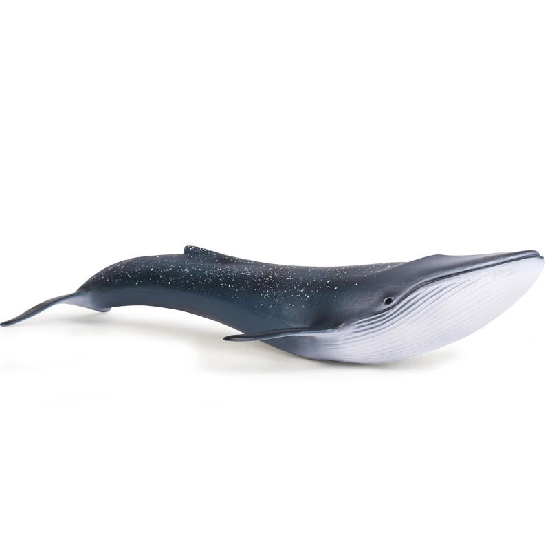 Синие игрушечные киты Sea Life, модель животного, фигурки, классические игрушки, коллекция моделей животных 
Синие игрушечные киты Sea Life, модель животного, фигурки, классические игрушки, коллекция моделей животных