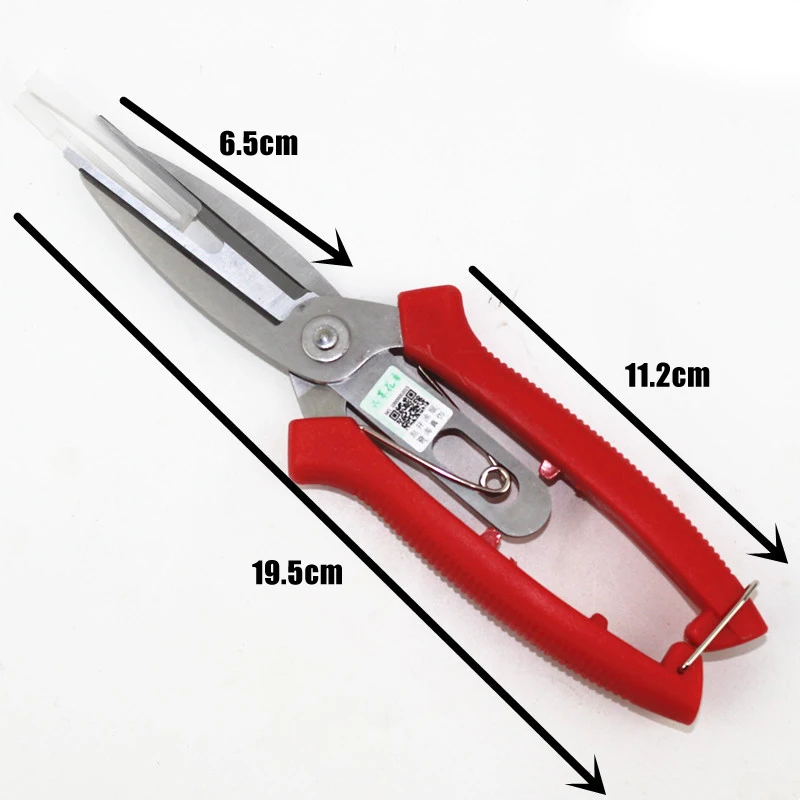 Stainless Steel Double-Edged Fruit Thinning Scissors Portable Hand Tools For Garderning
Stainless Steel Double-Edged Fruit Thinning Scissors Portable Hand Tools For Garderning