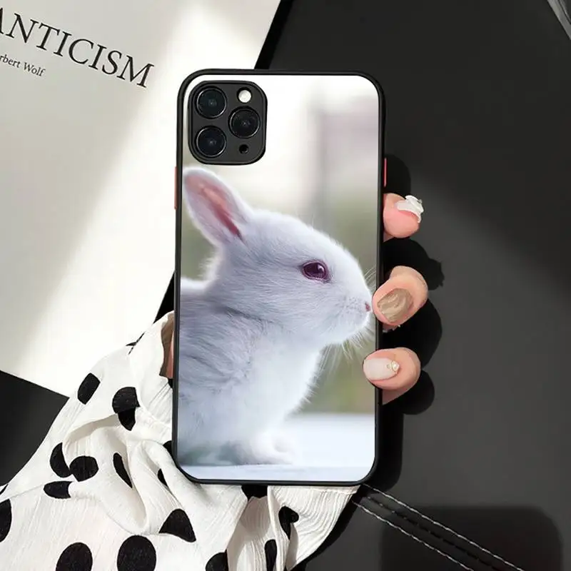 Phone Case For iPhone 12 11 Mini Pro XR XS Max 7 8 Plus X Cute rabbit Matte transparent cover
Phone Case For iPhone 12 11 Mini Pro XR XS Max 7 8 Plus X Cute rabbit Matte transparent cover