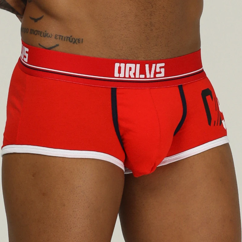 ORLVS Брендовое Мужское нижнее белье Мужчины Боксеры Сетка Ropa Interior Hombre gay трусы Cueca