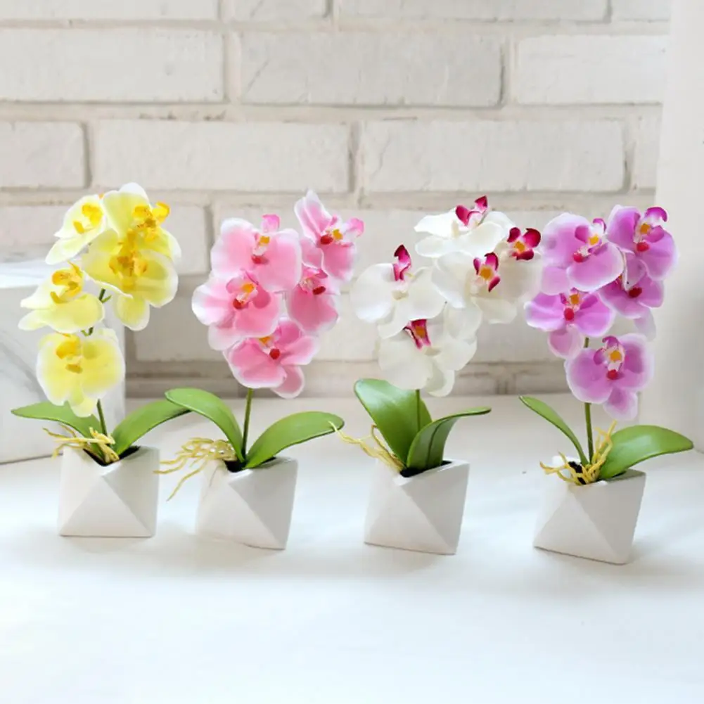 Simulation Phalaenopsis Bonsai Ornaments Artificial Flower Pot Garden Home Decor
Simulation Phalaenopsis Bonsai Ornaments Artificial Flower Pot Garden Home Decor