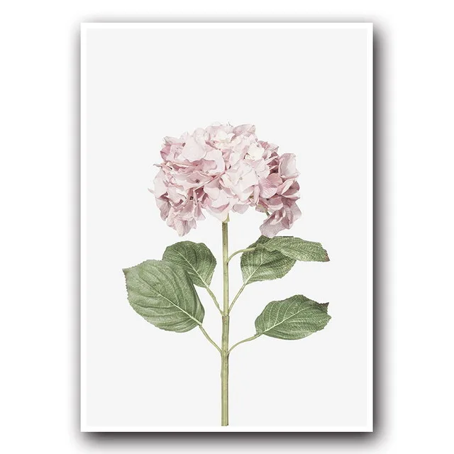 Abstract English Canvas Painting Art Print Poster Pink Cactus Green Plant Flower Creative Picture Wall Nordic Home Decoration
Abstract English Canvas Painting Art Print Poster Pink Cactus Green Plant Flower Creative Picture Wall Nordic Home Decoration
