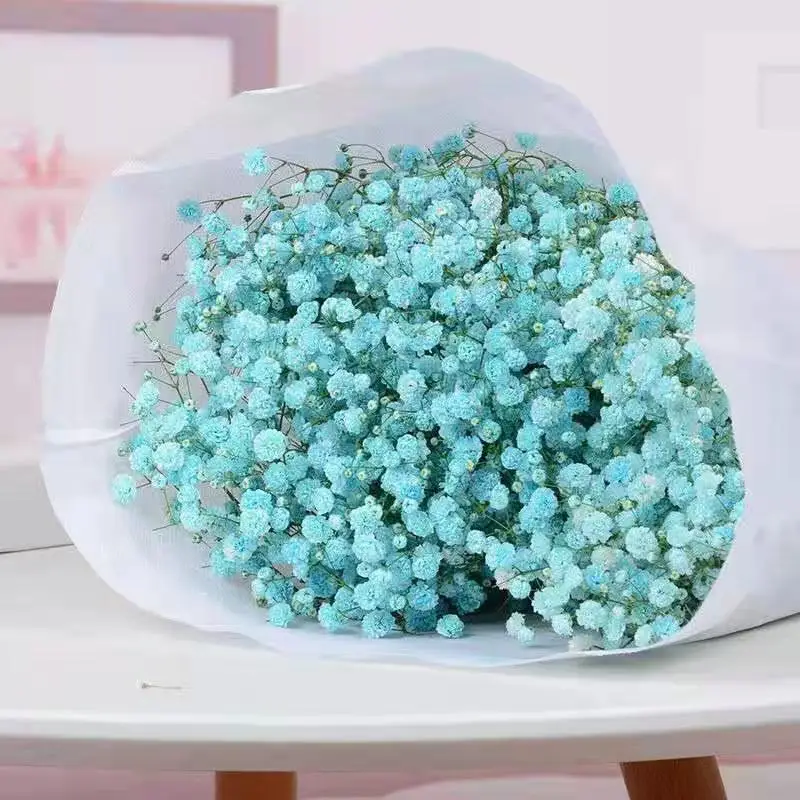 Dried Natural Flowers Gypsophila Paniculata DIY Easter Wreath Wedding Flower Garland Birthday Party Decoration Home Decor
Dried Natural Flowers Gypsophila Paniculata DIY Easter Wreath Wedding Flower Garland Birthday Party Decoration Home Decor