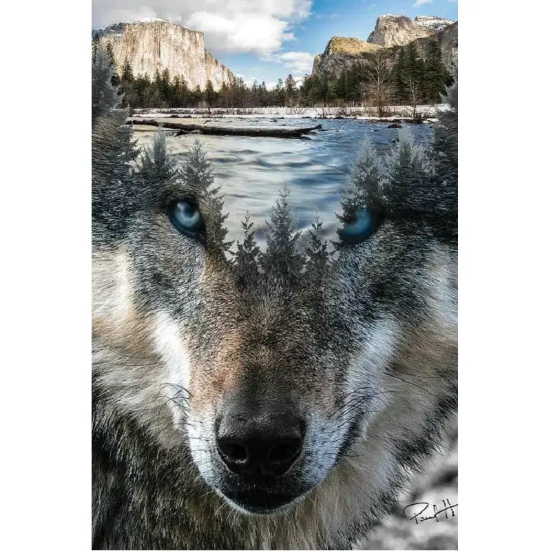 Diamond Embroidery 5D DIY Diamond Painting Wolf head landscape Diamond Mosaic square Rhinestone Cross Stitch Home Decoration
Diamond Embroidery 5D DIY Diamond Painting Wolf head landscape Diamond Mosaic square Rhinestone Cross Stitch Home Decoration