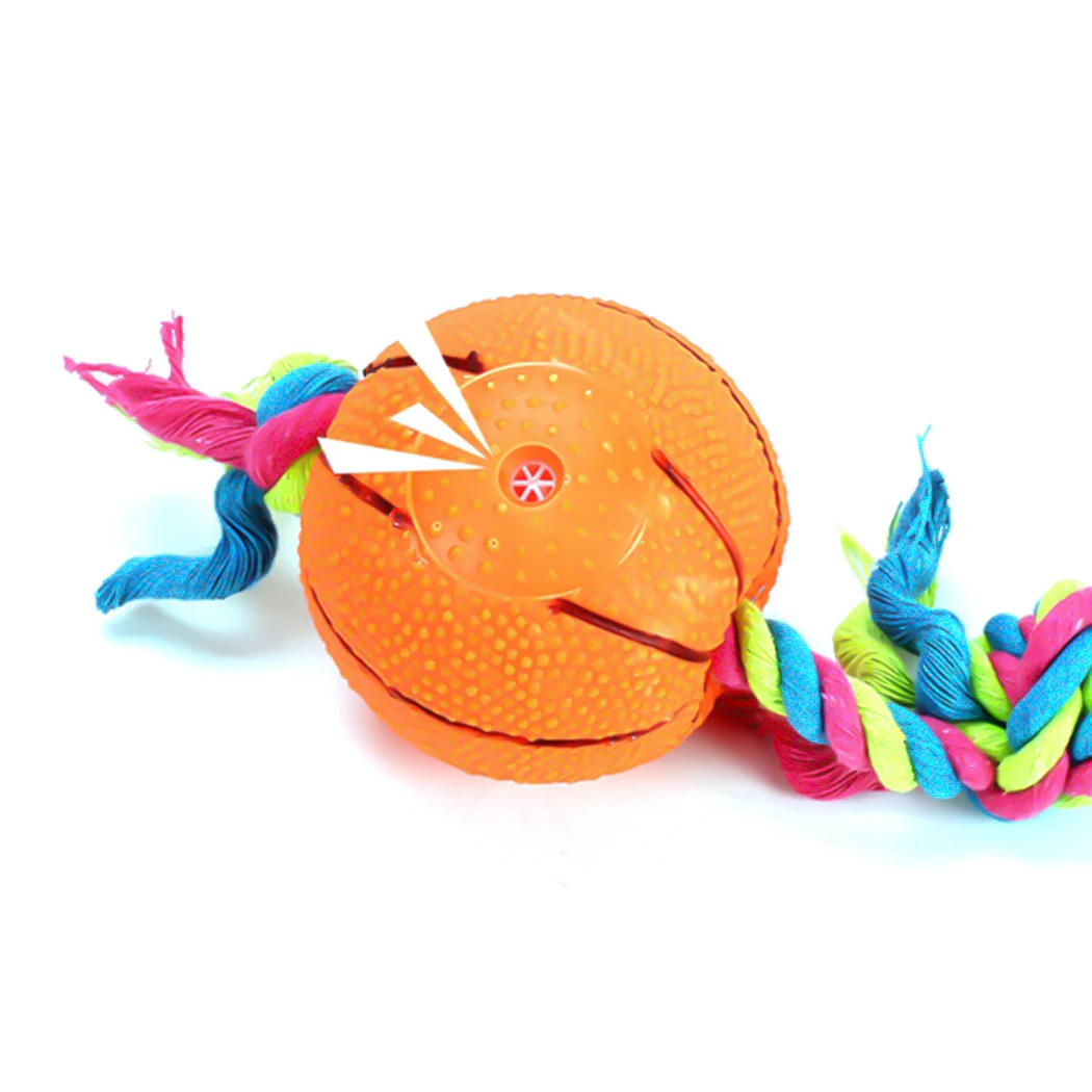 1pc Dog Squeaky Toys Interactive 3PCS Plastic Large Small Dogs Ball Toothbrush Interactive Dog Toys Dogs Chew Toy Accessories 
1pc Dog Squeaky Toys Interactive 3PCS Plastic Large Small Dogs Ball Toothbrush Interactive Dog Toys Dogs Chew Toy Accessories