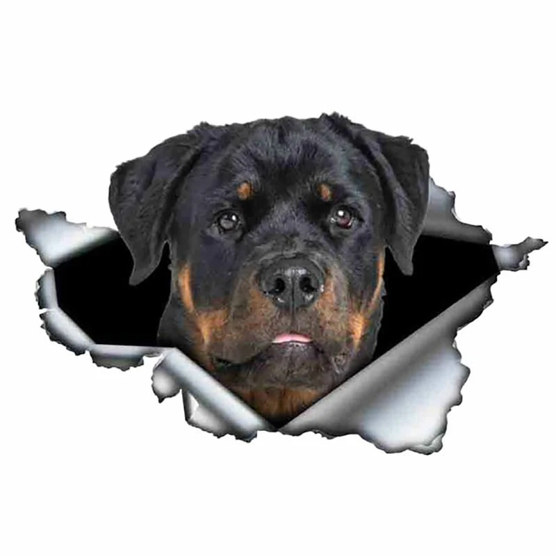 S50478 # различные размеры индивидуальная ПВХ наклейка Rottweiler Dog V8 Водонепроницаемая Автомобильная наклейка на мотоцикл ноутбук декоративная
S50478 # различные размеры индивидуальная ПВХ наклейка Rottweiler Dog V8 Водонепроницаемая Автомобильная наклейка на мотоцикл ноутбук декоративная