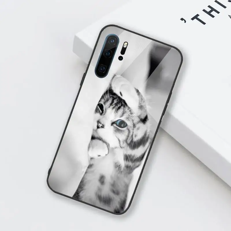 cute cat Phone Case Tempered glass for Huawei Honor Mate P 9 10 20 30 8X 7A V10 Pro Plus Lite NOVA 3E 3I 5 5I Pro
cute cat Phone Case Tempered glass for Huawei Honor Mate P 9 10 20 30 8X 7A V10 Pro Plus Lite NOVA 3E 3I 5 5I Pro